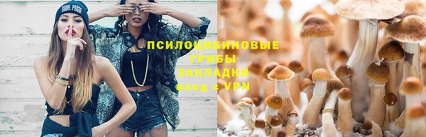 молекула духа Кодинск