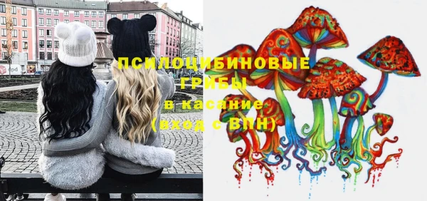 mix Козельск