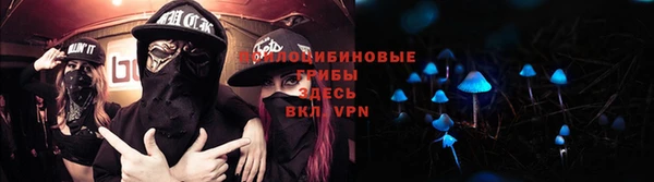 mix Козельск