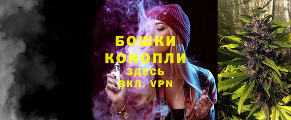 mix Козельск