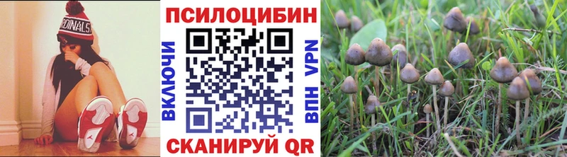 Галлюциногенные грибы Psilocybine cubensis  Купить закладки  Партизанск 